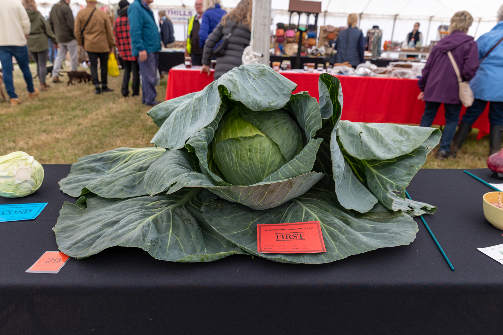 Wayland Show23-53